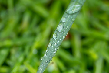 緑と水　環境とエコのイメージ