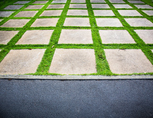 Stone pathway with grass in a green garden