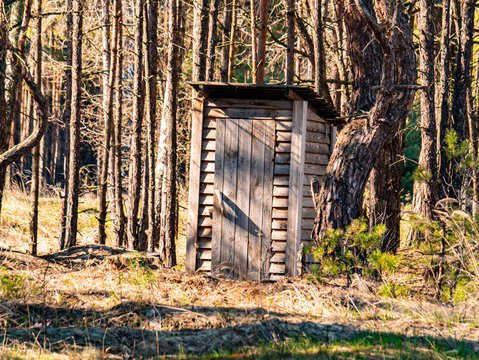 Wooden public toilet in a pine forest. Place for text. Background image. Communications. Civilization.
