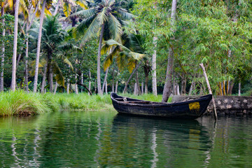 Fototapeta na wymiar a beautiful picture of a small canoe at kerala backwaters with lush green background