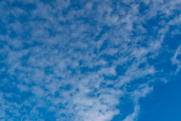 Fototapeta na wymiar simple blue sky with white clouds in the cool season, freshness and a clear Sunny day in nature 