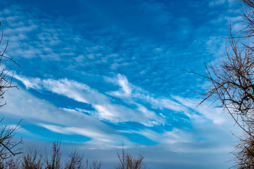 simple blue sky with white clouds in the cool season, freshness and a clear Sunny day in nature
