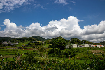 Fototapeta na wymiar 青空と雲の素材