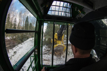Mechanized felling clearing. John Deere 903K at work. View from the cab.