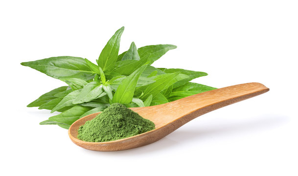 Kariyat or Andrographis paniculata powder and  green leaves  on a white background