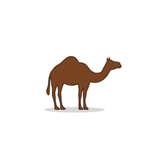 Camel sign isolated on white background
