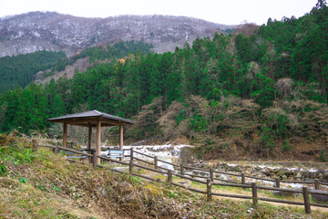 Fototapeta na wymiar Jigokudani Monkey Park - Unique experience with the natural hot spring