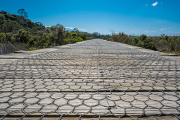 Wooden boardwalk with mesh leading into the distance among swamp vegetation