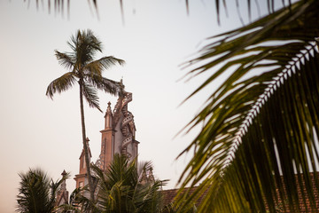 Christian Catholic Church in India, Kerala-among the tropical leaves of palm trees. The white walls of the temple in the pink light of sunset in India