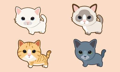 set breed cute kittens. Vector illustration 