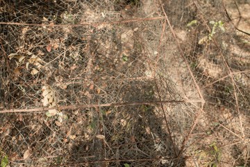 Fish traps of fishermen in Thailand