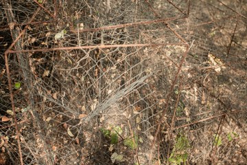 Fish traps of fishermen in Thailand