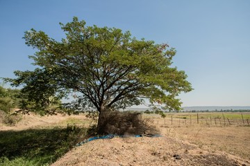 Obraz premium Fish traps of fishermen in Thailand