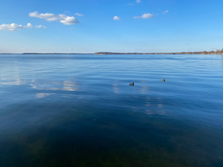 blue lake with blue sky ducks