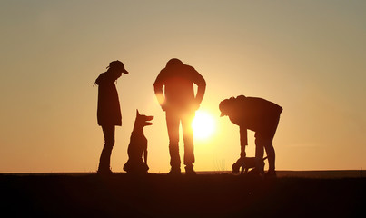 Happy family on sunset background, silhouettes of people and dogs, beagle and belgian shepherd...
