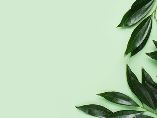 Natural organic leaves mock up frame on mint green  background