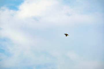 Bangkok, Thailand - MARCH 16, 2019 : Bangkok cityscape view Bangkok Thailand, most popular city in south asia.