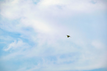 Bangkok, Thailand - MARCH 16, 2019 : Bangkok cityscape view Bangkok Thailand, most popular city in south asia.