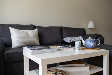 Cozy home setting, with pillows and blankets on couch, a warm cup of tea or coffee, and a good book together with the best friend, the dog. Stock picture by Brian Holm Nielsen