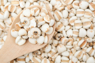 millet in a wooden bowl isolated on white