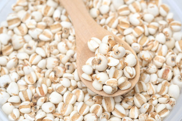 millet in a wooden bowl isolated on white