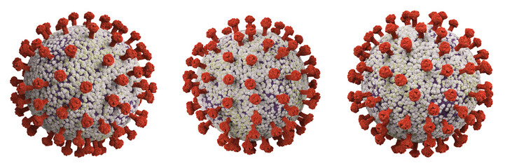 coronavirus cell or covid-19 cell