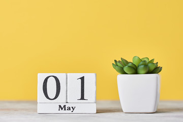 Wooden block calendar with date May 1 and succulent plant in the pot on yellow background. Labor...