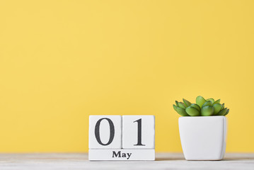 Wooden block calendar with date May 1 and succulent plant in the pot on yellow background. Labor...