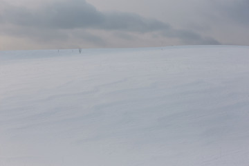 Snow field and several bushes of trees