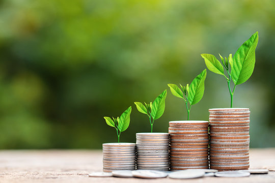 Tree growing on coins stack for business investment and saving money concept