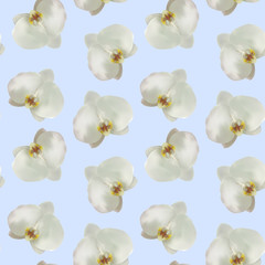 Seamless vector pattern of white orchids on a light background, made in a realistic style using a gradient mesh. Flowers on the background are scattered randomly, suitable for textures and gift paper