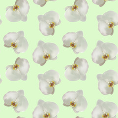 Seamless vector pattern of white orchids on a light background, made in a realistic style using a gradient mesh. Flowers on the background are scattered randomly, suitable for textures and gift paper