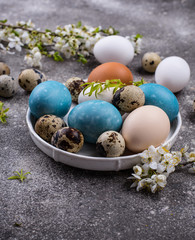 Easter eggs in blue color