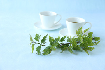 コーヒーと若葉の枝