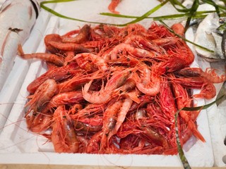 Shrimp at the fish market in Cagliari Sardinia Italy