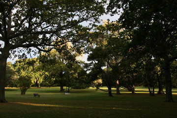 park in the morning