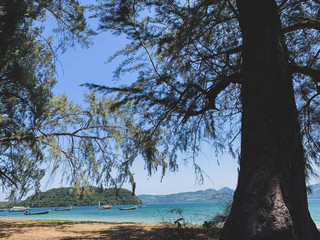 Fototapeta na wymiar Big pine tree on the beach with island and mountain landscape, holiday in summer season 