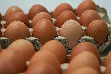 Brown chicken egges on white background.