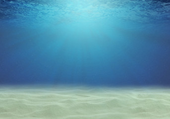 Underwater view of the sea