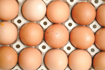 Brown chicken egges on white background.