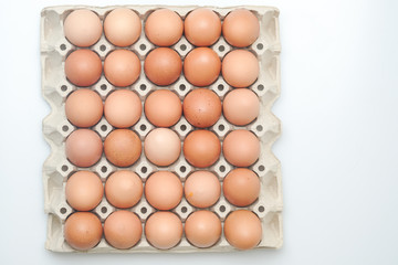 Brown chicken egges on white background.