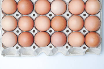 Brown chicken egges on white background.