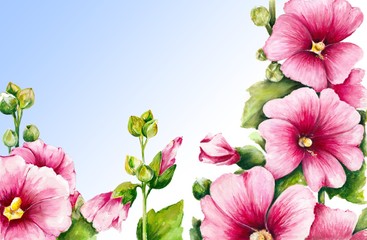 Red flowers. Card. Watercolor illustration.