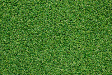 Obraz premium green grass texture