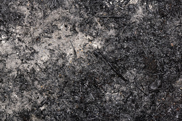 Ashy surface. Texture of burnt grass. Overal view.