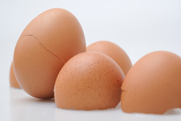 Broken egg shell on white background