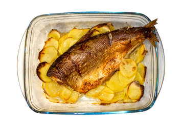 baked whitefish with potatoes in a transparent glass form, with potatoes, isolate