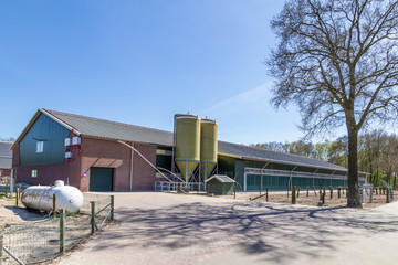 Large chicken farm with indoor facilites for poulry breeding and egg production in the Netherlands