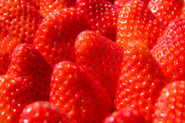 Frische rote Erdbeeren