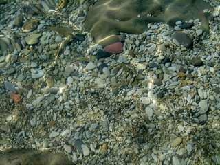 Pebbles, rocks, seaweed on the sea floor through clear water in shallow water.